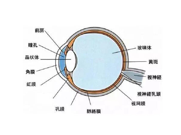 小心！高溫性眼灼傷