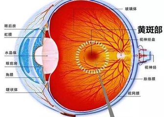 【科普】老年性黃斑變性可以治好嗎？